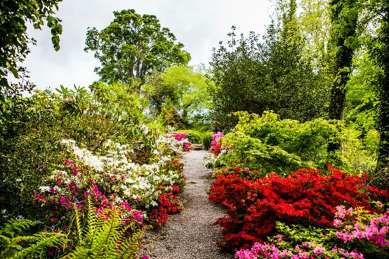 Hidden Gardens, Plas Cadnant, Menai Bridge